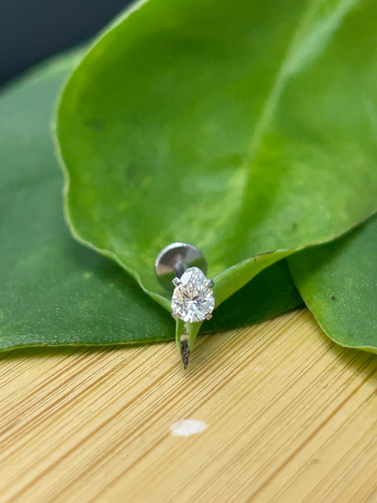 Labret Gota